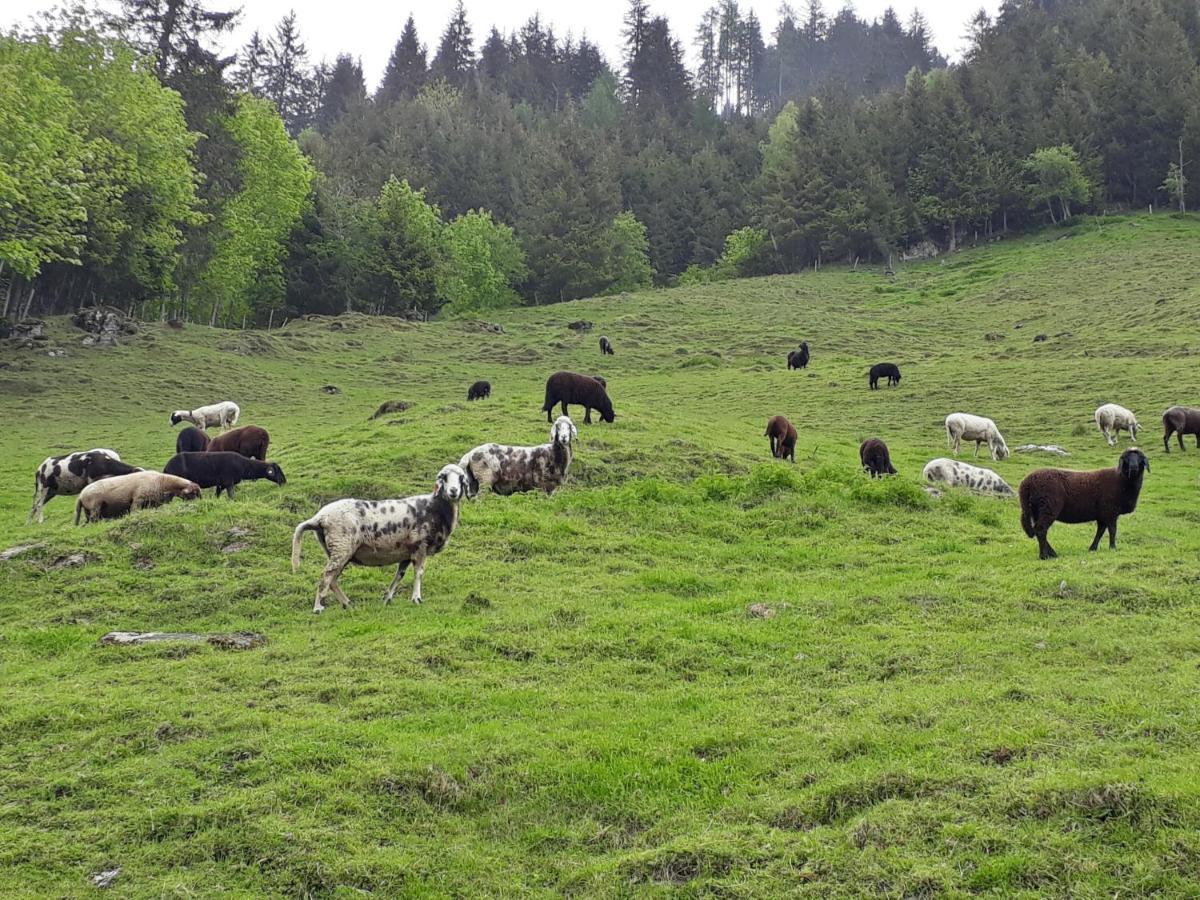 Stallerhof Hüttschlag المظهر الخارجي الصورة